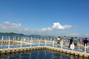 淄博到烟台海阳汽车二日游_海边自由行-纯玩休闲度假