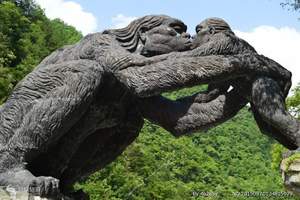 湖北旅游哪里好玩神农架武当山高铁6日游淄博出发去湖北怎么去