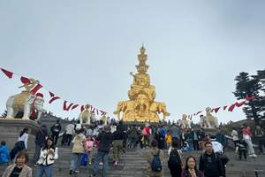 沈阳到成都 盛宴九寨8日游 独立团 领队陪同 20人左右小团