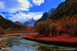 淄博去稻城亚丁四飞六日游--稻城亚丁旅游攻略推荐四川旅游