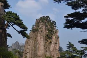 武汉到黄山旅游 黄山旅游几月份去合适 黄山观光游览三日游