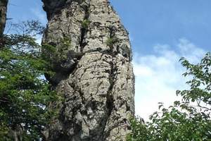 长江三峡、神农架双卧7日游 淄博去三峡、神农架旅游团价格