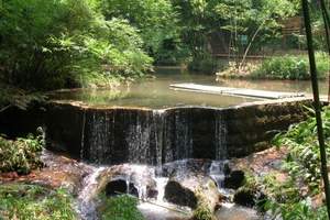 淄博去重庆、稻城亚丁四飞六日游_淄博旅行社去四川有什么好玩的