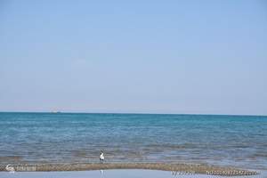 青海湖 茶卡盐湖两日游（西宁出发 纯玩）