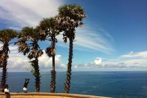 淄博去三亚双飞六日游纯玩零自费_淄博旅行社海南跟团游