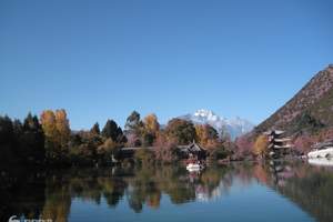淄博出发丨云南昆明、大理、丽江、西双版纳四飞八日游丨山东成团