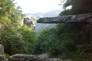 南昌到庐山景德镇鄱阳湖婺源篁岭四日游|江西私家团订制旅游产品
